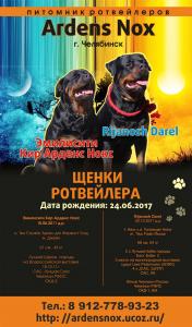 Продам щенка Ротвейлер - Россия, Челябинск. Цена 15000 рублей. Щенки из питомника Ardens Nox - Россия, Челябинск