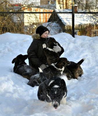 Продам щенка Другая порода/смешанная - Россия, Москва. Цена 40000 рублей