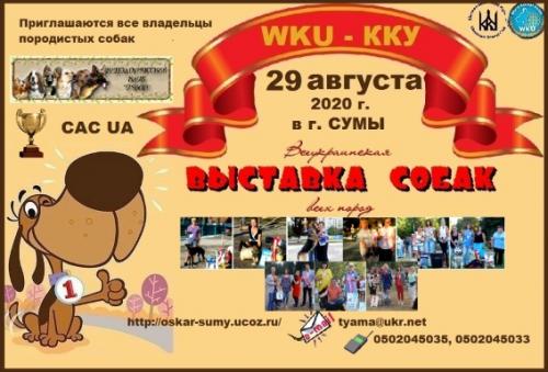 Продам щенка Другая порода/смешанная - Украина, Сумы