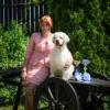 Питомник собак Белые Вулканы