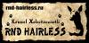 Питомник собак RND HAIRLESS