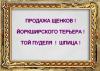 Питомник собак йорки- пуделя -шпицы