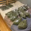 Питомник собак BUY MARIJUANA,VAPES AND CARTS info +1(402)235-6282